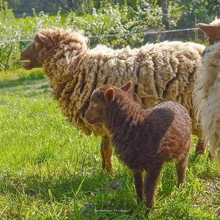 Agriturismo Vezzano Киузи дела Верна Екстериор снимка