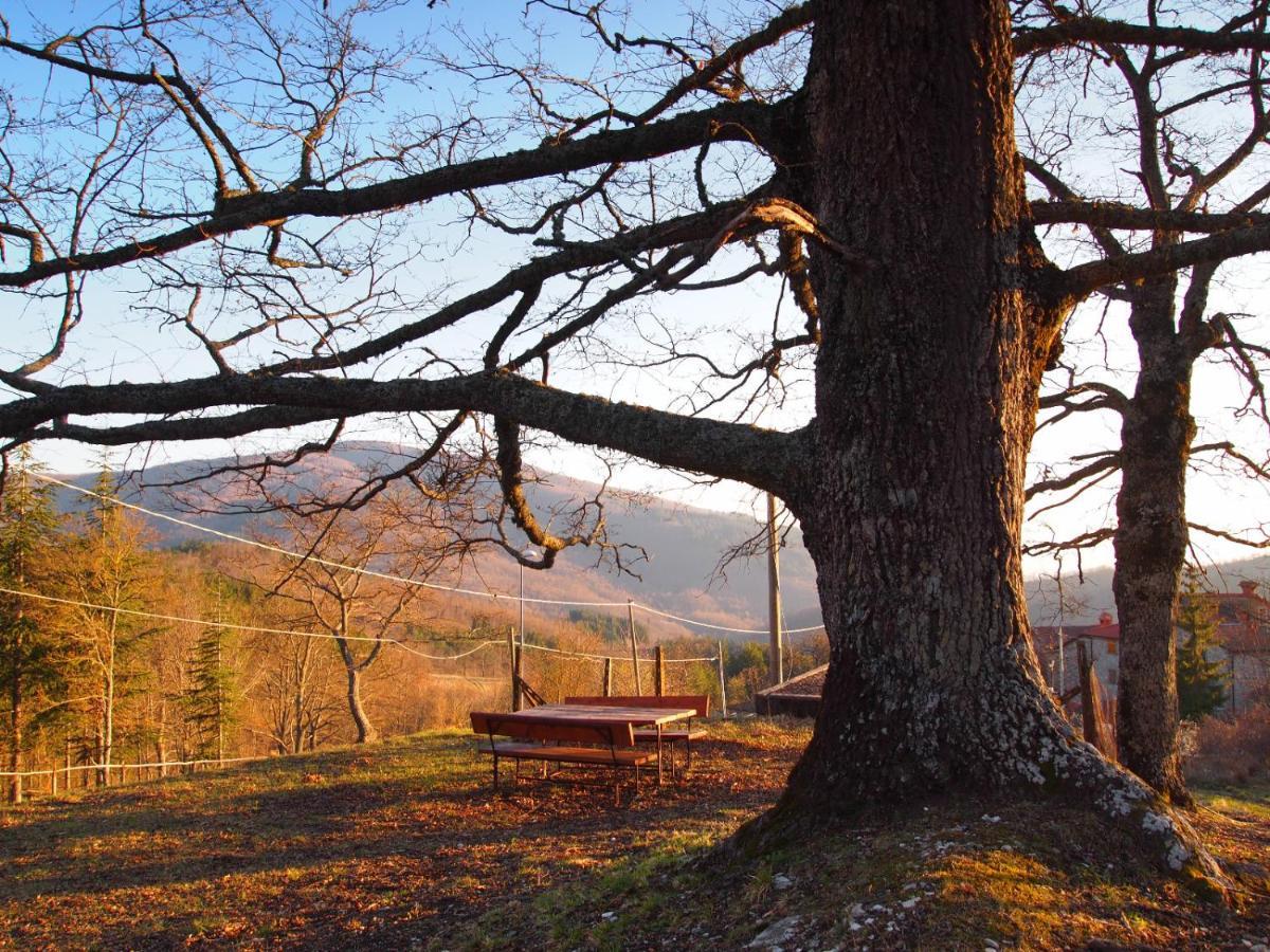 Agriturismo Vezzano Киузи дела Верна Екстериор снимка