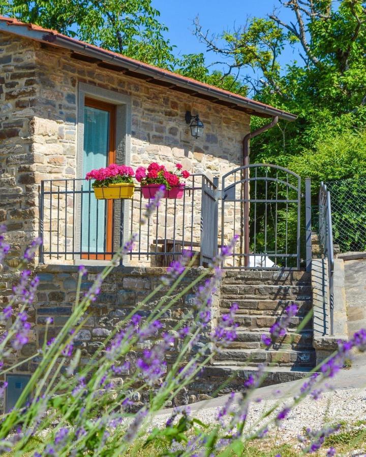 Agriturismo Vezzano Киузи дела Верна Екстериор снимка