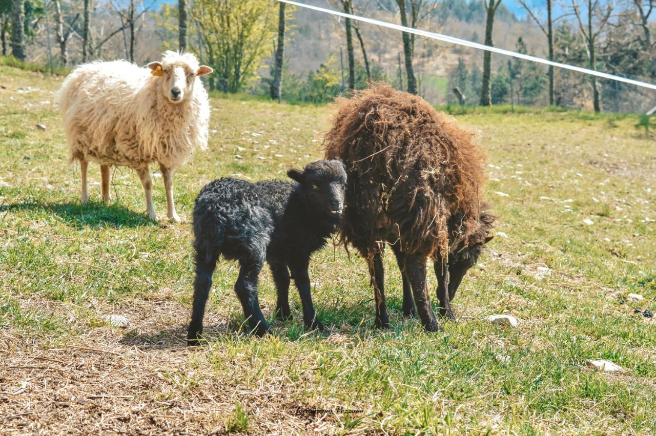 Agriturismo Vezzano Киузи дела Верна Екстериор снимка
