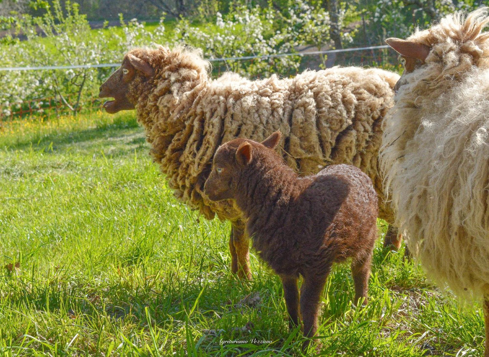 Agriturismo Vezzano Киузи дела Верна Екстериор снимка